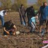 Садим новата гора на София този уикенд