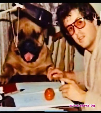 Куче помагало на Слай със сценария на първия Роки