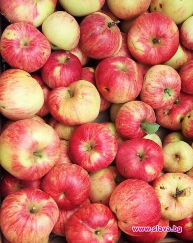 Шарените ябълки са най-полезни, зелените са по-диетични: какво правим с времето в карантина