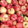Шарените ябълки са най-полезни, зелените са по-диетични: какво правим с времето в карантина