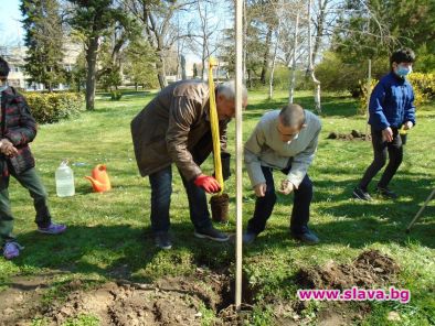 Засадиха над 200 дръвчета в инициативата Гората на децата