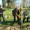 Засадиха над 200 дръвчета в инициативата Гората на децата