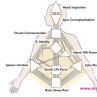 Human Design e несериозна мешавица от астрология и мистицизъм:  В. Володина