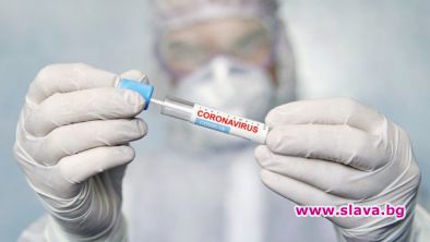 Холандия крила от 19 ноември щама