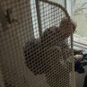 Новият БГ филм Смирен с премиера на СФФ