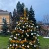 37 магични елхи на таланта грейнаха в София
