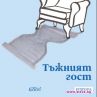 Европейска награда за литература за Тъжният гост