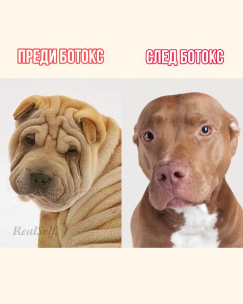 СМЯХ