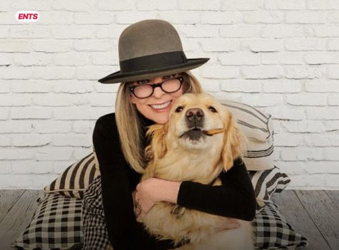 Даян Кийтън завеща завеща 5 млн. долара на кучето си