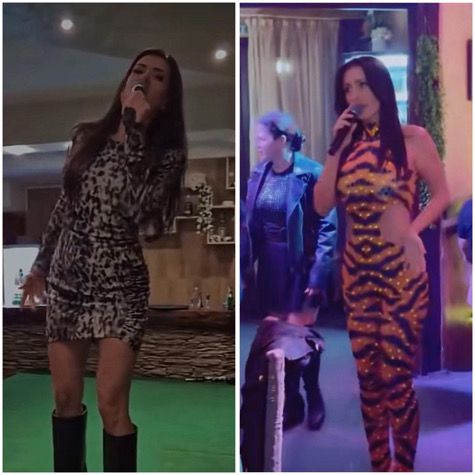 Тигровото се завръща в чалгата