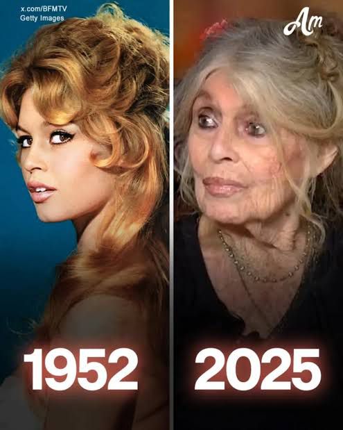 Бриджит Бардо: По-щастлива щях да бъда, ако бях родила куче