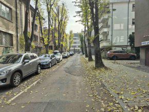 Улица „Сава Огнянов“: Звездата на Народния, която можеше да е син на Ботев, а брат му осъди Яворов