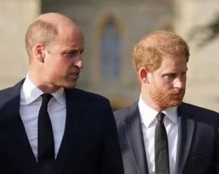 Принц Уилям и принц Хари пред неловка среща догодина