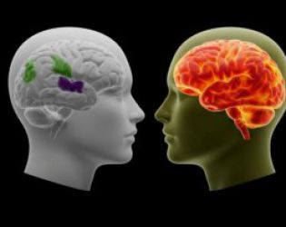 AI намалява паметта и критичното мислене: Изследване