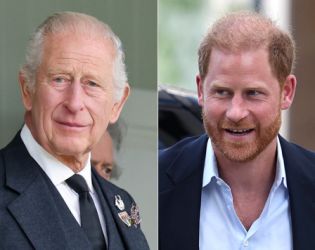 Крал Чарлз все по-близо до среща с внуците