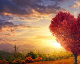 Влюбените оздравяват два пъти по-бързо: доказва психологията