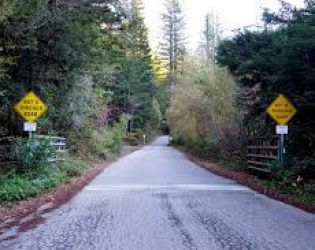 Разкриха суперсекретна милионерска секта: Водещият на Оскарите, Ийстууд, Блумбърг, босът на Гугъл в 