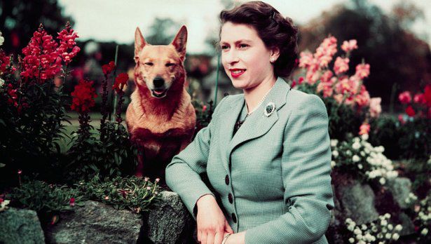 Burberry почете кралица Елизабет II и нейните любими коргита