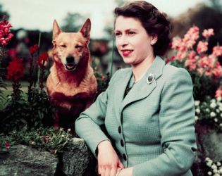 Burberry почете кралица Елизабет II и нейните любими коргита