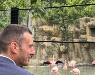 С розови фламинго срещу Петрохан: Кметът Терзиев