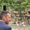 С розови фламинго срещу Петрохан: Кметът Терзиев