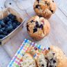 Blueberry Muffins